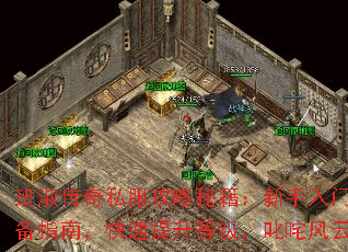 紫˽ؼűرָϣȼ߳