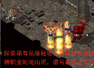 ̽ϡ˽ؾشƪ£ְҵ߳ɽӣдǿߴ˵