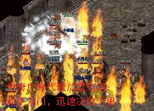 ָϣţѸپʤǧ