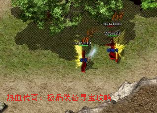 Ѫ棺ƷװѰ