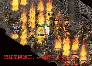 ̤ƻԹ̽شǧĹ