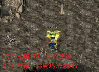 ˽175οȼư귨½