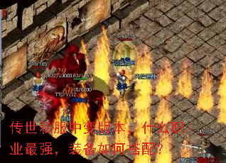 ˽б汾ʲôְҵǿװδ䣿