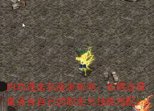 ڹ˽ѡʺԼְҵ뼼ܴ䣿