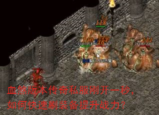 Ѫɷ汾˽տһ룬οˢװս