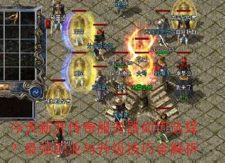 ¿ѡǿְҵȫ