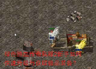 ɫѪ˽2οȡƷװ