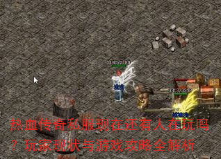 热血传奇私服现在还有人在玩吗?玩家现状与游戏攻略全解析 热血传奇私服现在还有人在玩吗?玩家现状与游戏攻略全解析