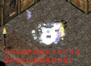 传奇私服折扣版新手如何快速提升战力与获取稀有装备? 传奇私服折扣版新手如何快速提升战力与获取稀有装备?