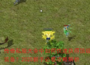 ˽ȫοٻöװ2025ֱؿԽ