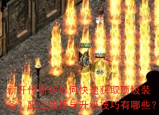 ¿SFοٻȡװְҵѡЩ