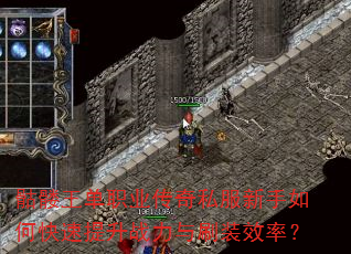 骷髅王单职业传奇私服新手如何快速提升战力与刷装效率? 骷髅王单职业传奇私服新手如何快速提升战力与刷装效率?