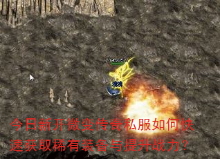 ¿΢䴫˽οٻȡϡװս