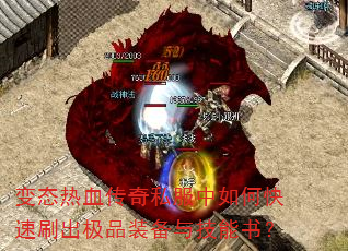 ̬Ѫ˽οˢƷװ뼼飿