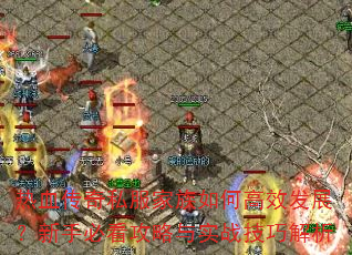 热血传奇私服家族如何高效发展?新手必看攻略与实战技巧解析 热血传奇私服家族如何高效发展?新手必看攻略与实战技巧解析