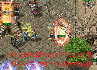 热血传奇私服家族如何高效发展?新手必看攻略与实战技巧解析 热血传奇私服家族如何高效发展?新手必看攻略与实战技巧解析