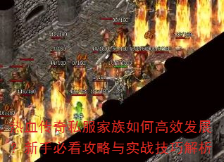 热血传奇私服家族如何高效发展?新手必看攻略与实战技巧解析 热血传奇私服家族如何高效发展?新手必看攻略与实战技巧解析