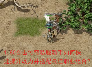 1.80合击传奇私服新手如何快速提升战力并搭配最佳职业组合? 1.80合击传奇私服新手如何快速提升战力并搭配最佳职业组合?